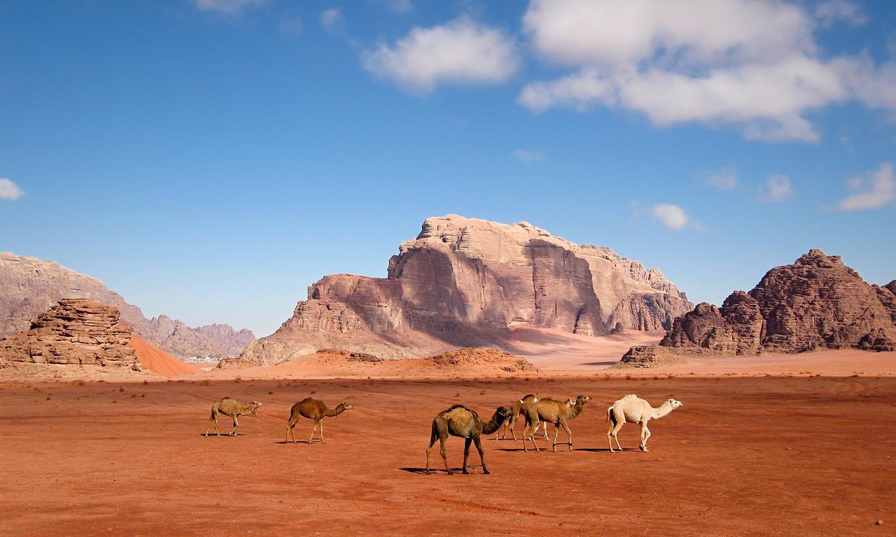Wadi Rum Moon Light Camp Eksteriør bilde