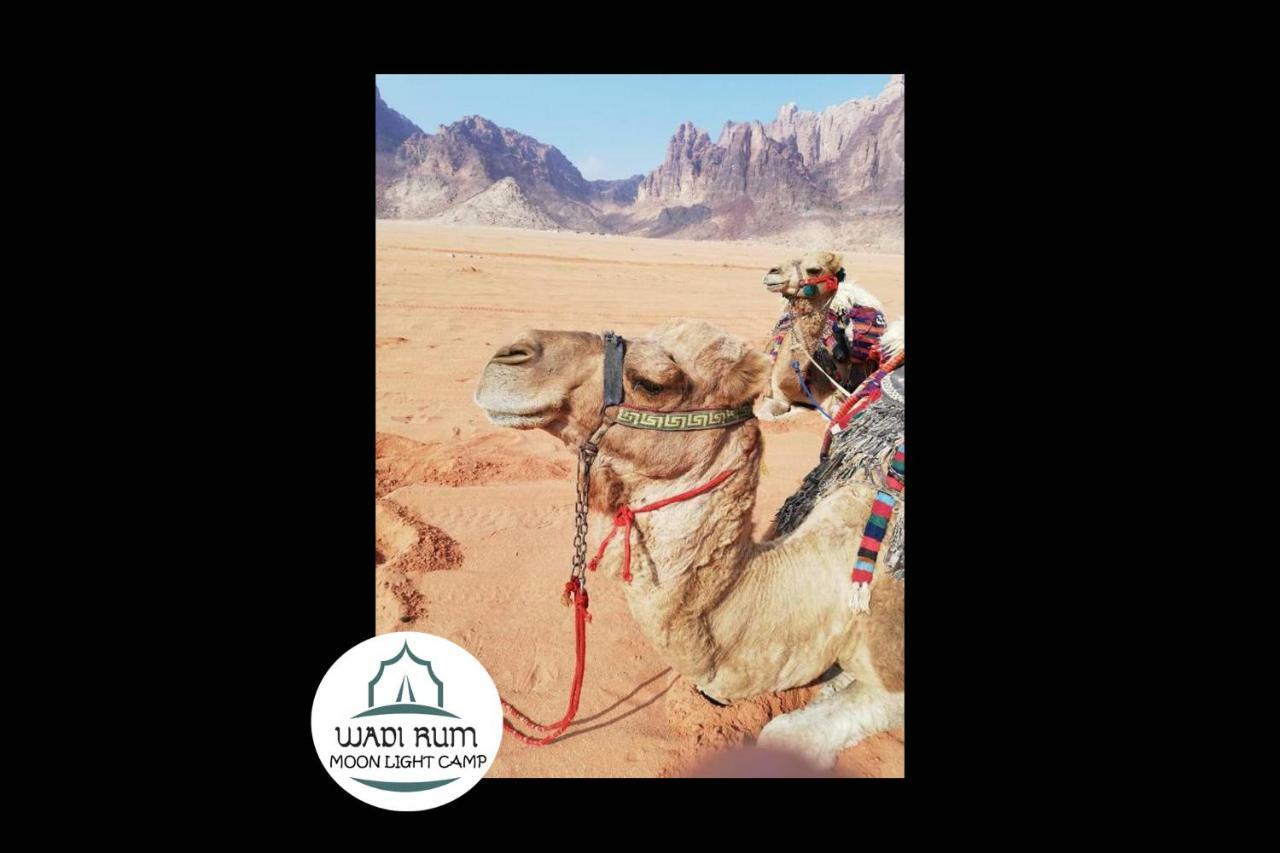Wadi Rum Moon Light Camp Eksteriør bilde